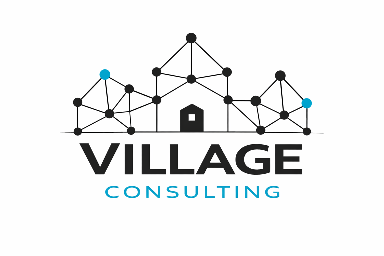 Village Consulting